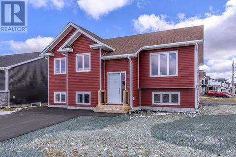2 Redberry Street St. John's NF A1H0L6