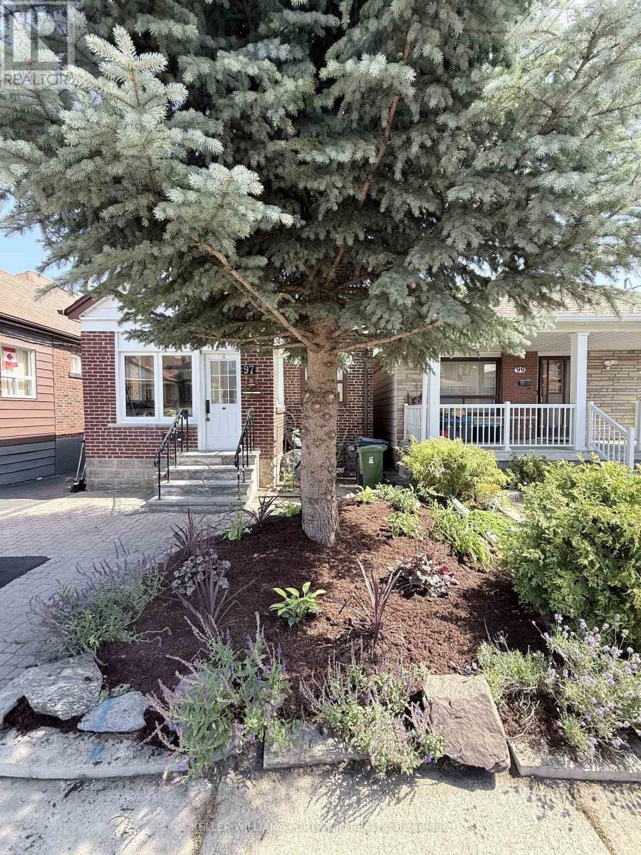 97 LIVINGSTONE AVENUE