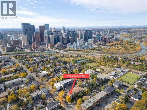 303, 239 6 Avenue NE Calgary AB T2E0L8