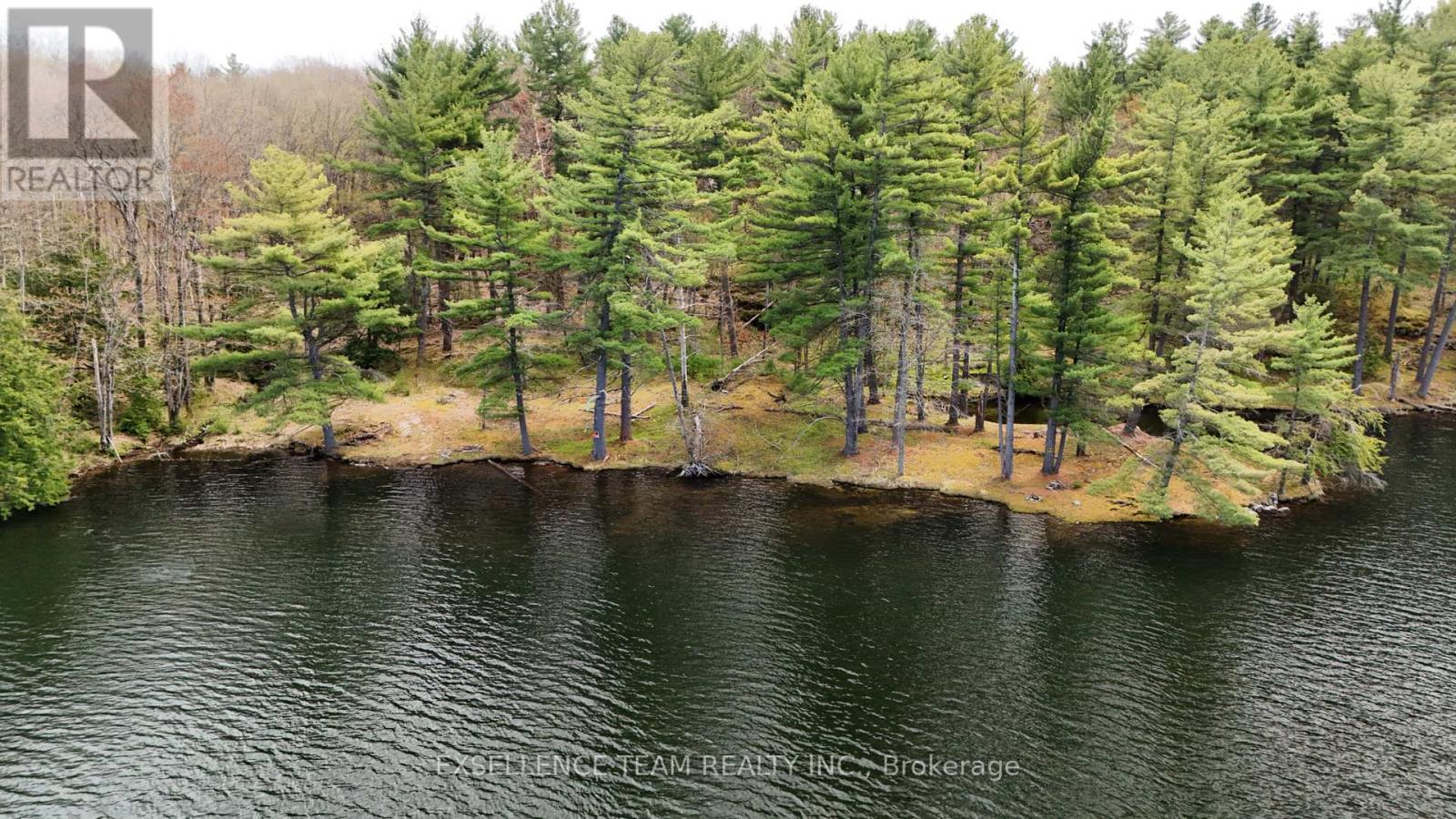 PL 7-8 FRONT OF YOUNG CONCESSION