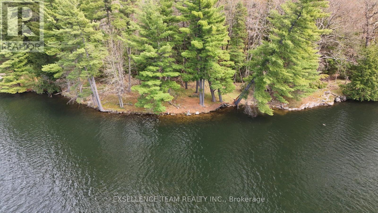 PL 7-8 FRONT OF YOUNG CONCESSION