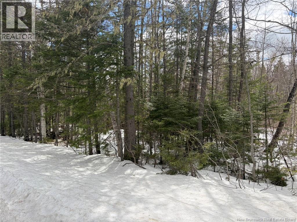 3.7 Acres Route 435 - Photo 3