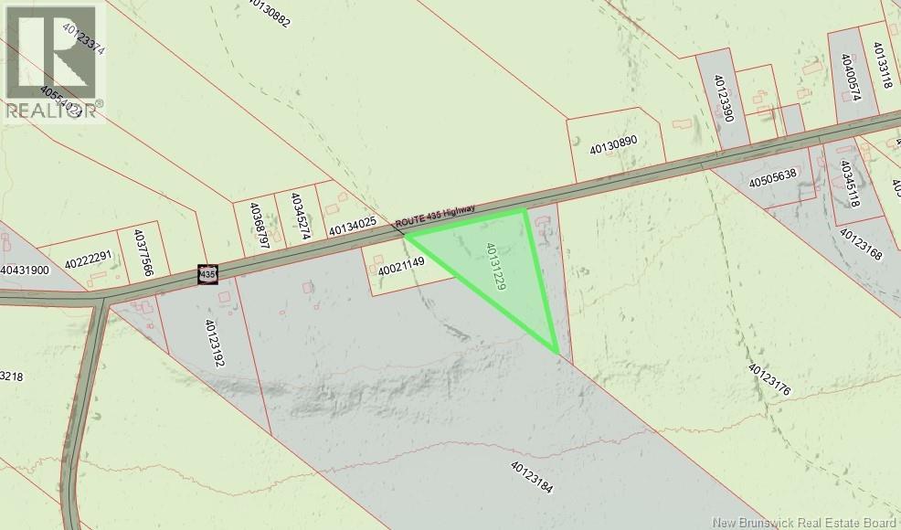3.7 Acres Route 435 - Photo 2