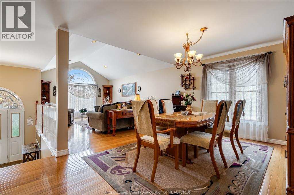 25 Regatta DRIVE