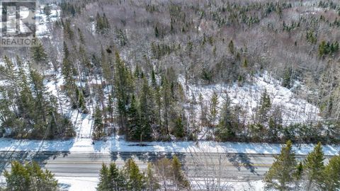 Lot Highway 4 Road Sydney Forks NS B1L1E2