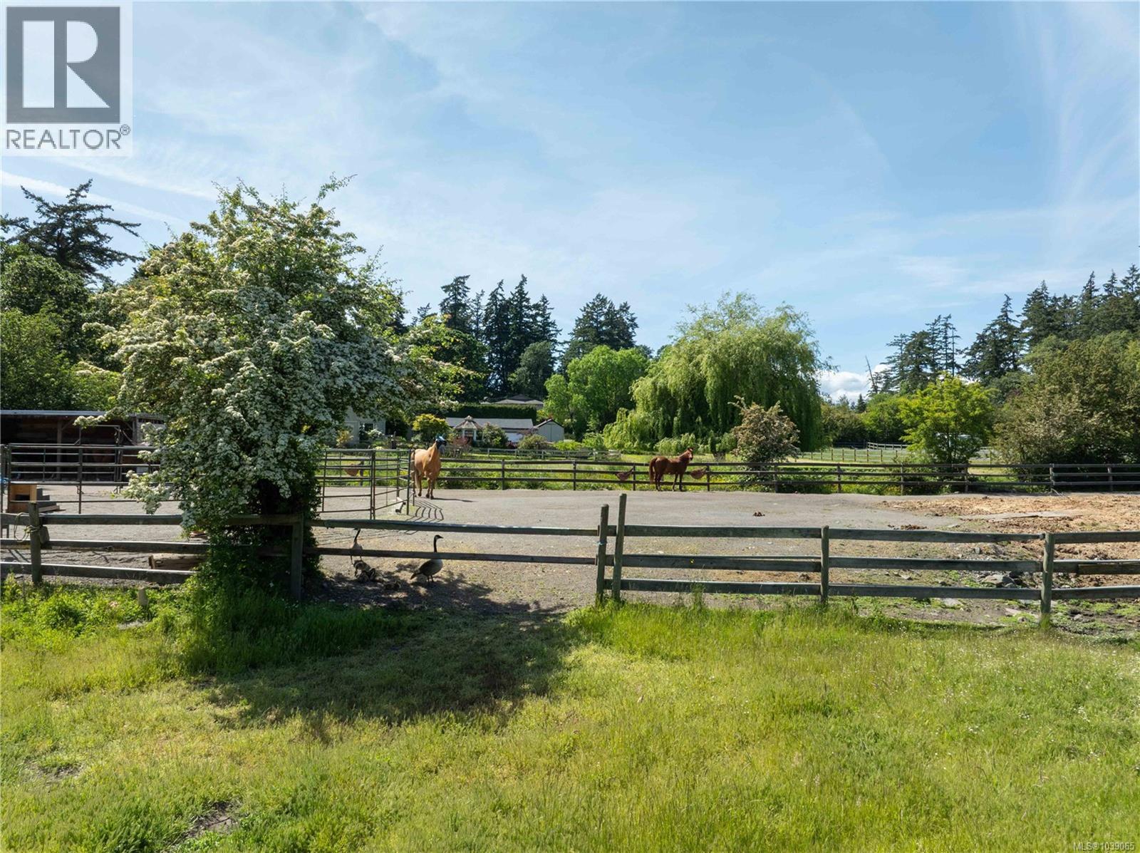 1568 Burnside Rd W