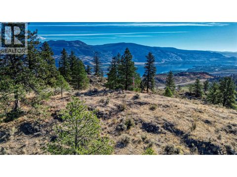 21043 Old Ritcher Passage Road Osoyoos BC V0H1V5
