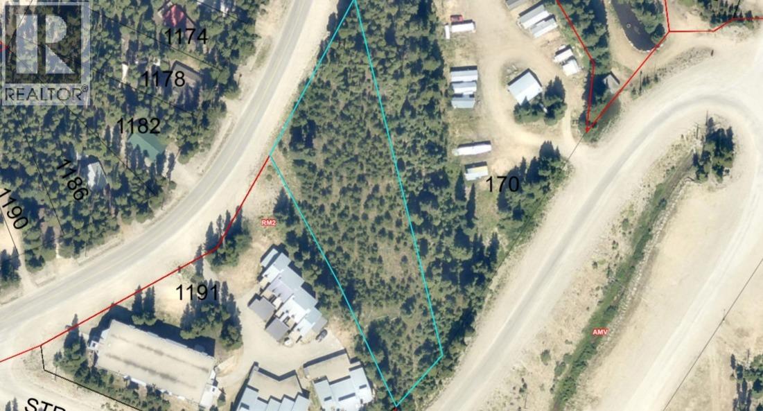 1175 APEX MOUNTAIN Road