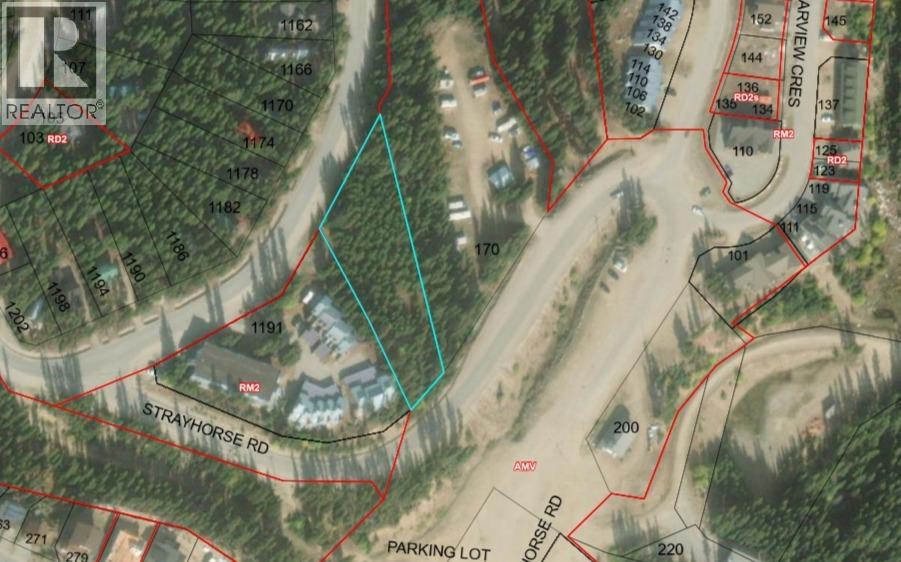 1175 APEX MOUNTAIN Road