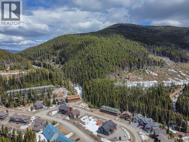 1175 APEX MOUNTAIN Road