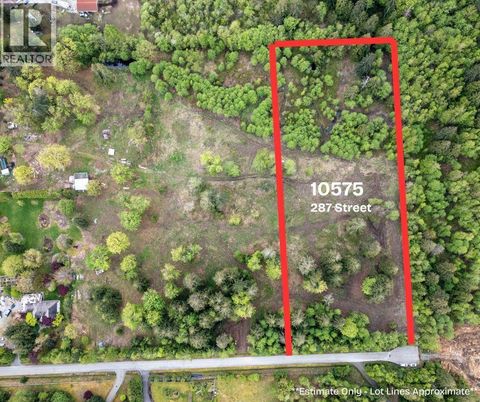 10575 287 STREET Maple Ridge BC V2W1L5