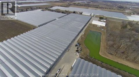 1506, 1508 & 1526 COUNTY RD 34 Kingsville ON N0P2G0