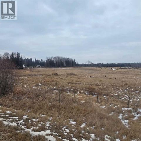 Lot 4 Range Road 175 Rural Yellowhead County AB T7E3L4
