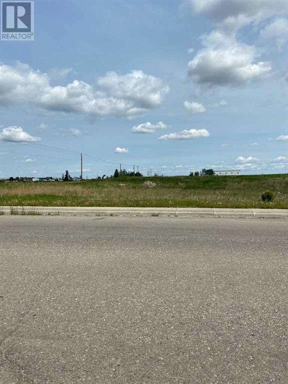 100 Shantz Drive