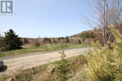Lot 1 River Denys Mountain Road Rear Judique NS B0E1P0