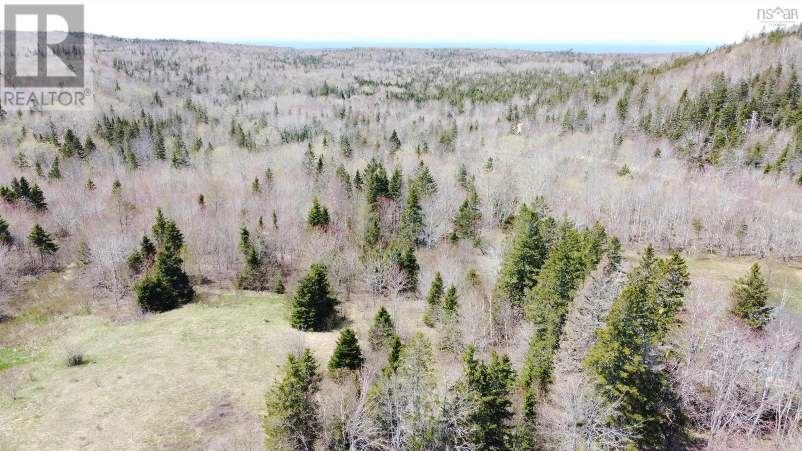 Lot 1 River Denys Mountain Road