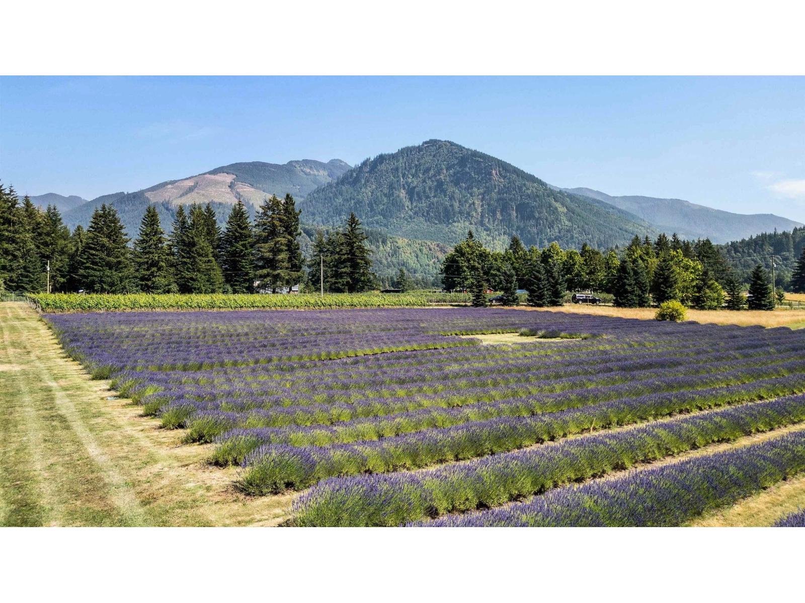 231 COLUMBIA VALLEY ROAD|Columbia Valley