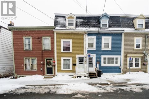 19 Mullock Street St. John's NF A1C2R6