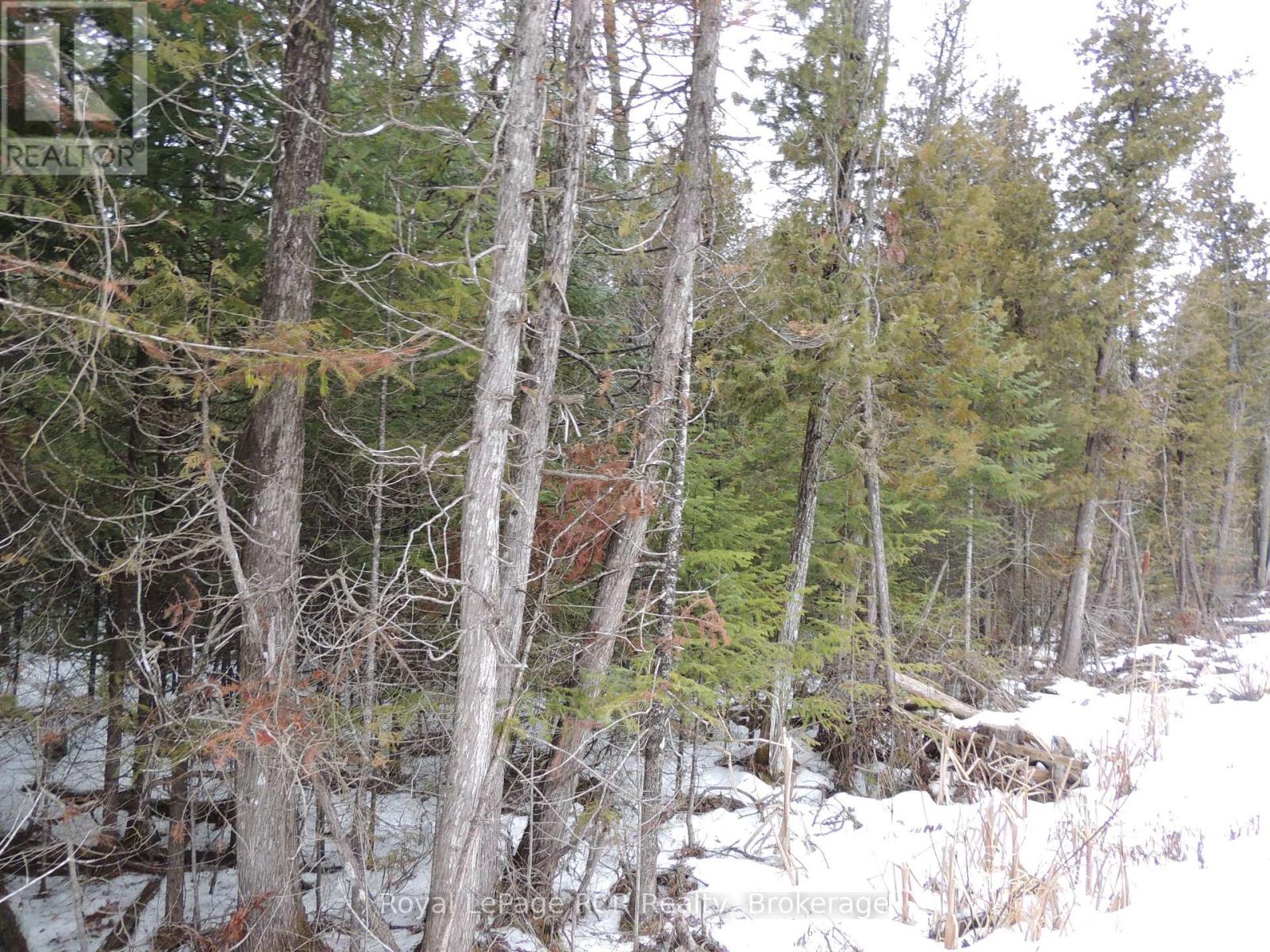 PTLT 20 SOUTHGATE 57 SIDE ROAD