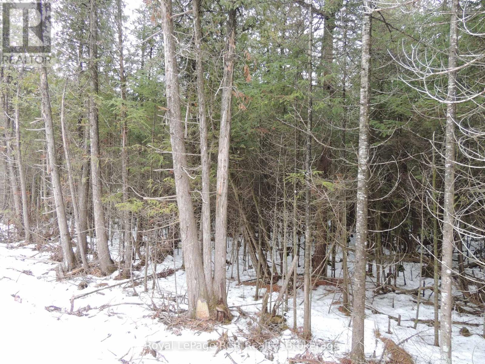 PTLT 20 SOUTHGATE 57 SIDE ROAD