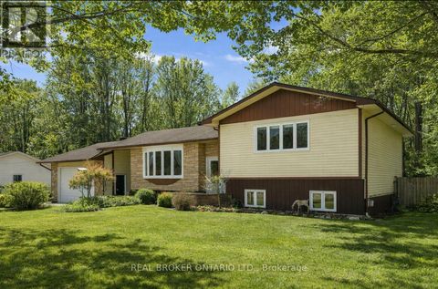 189 MAPLE GROVE STREET The Nation ON K0A1W0