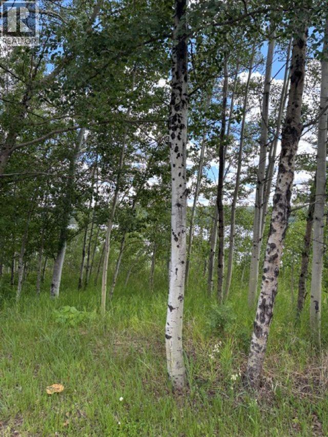 Lot 16 TROUT DRIVE