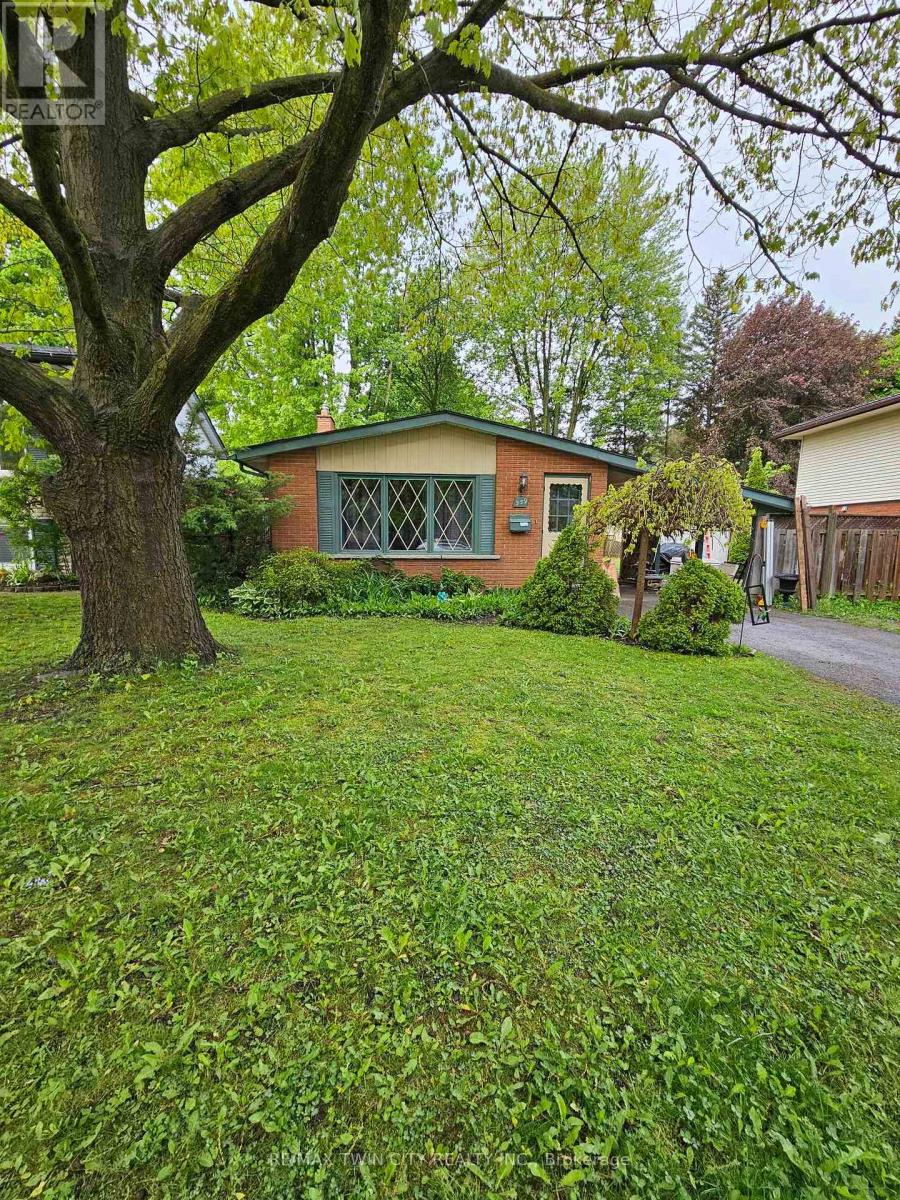 559 SPRUCEHILL AVENUE