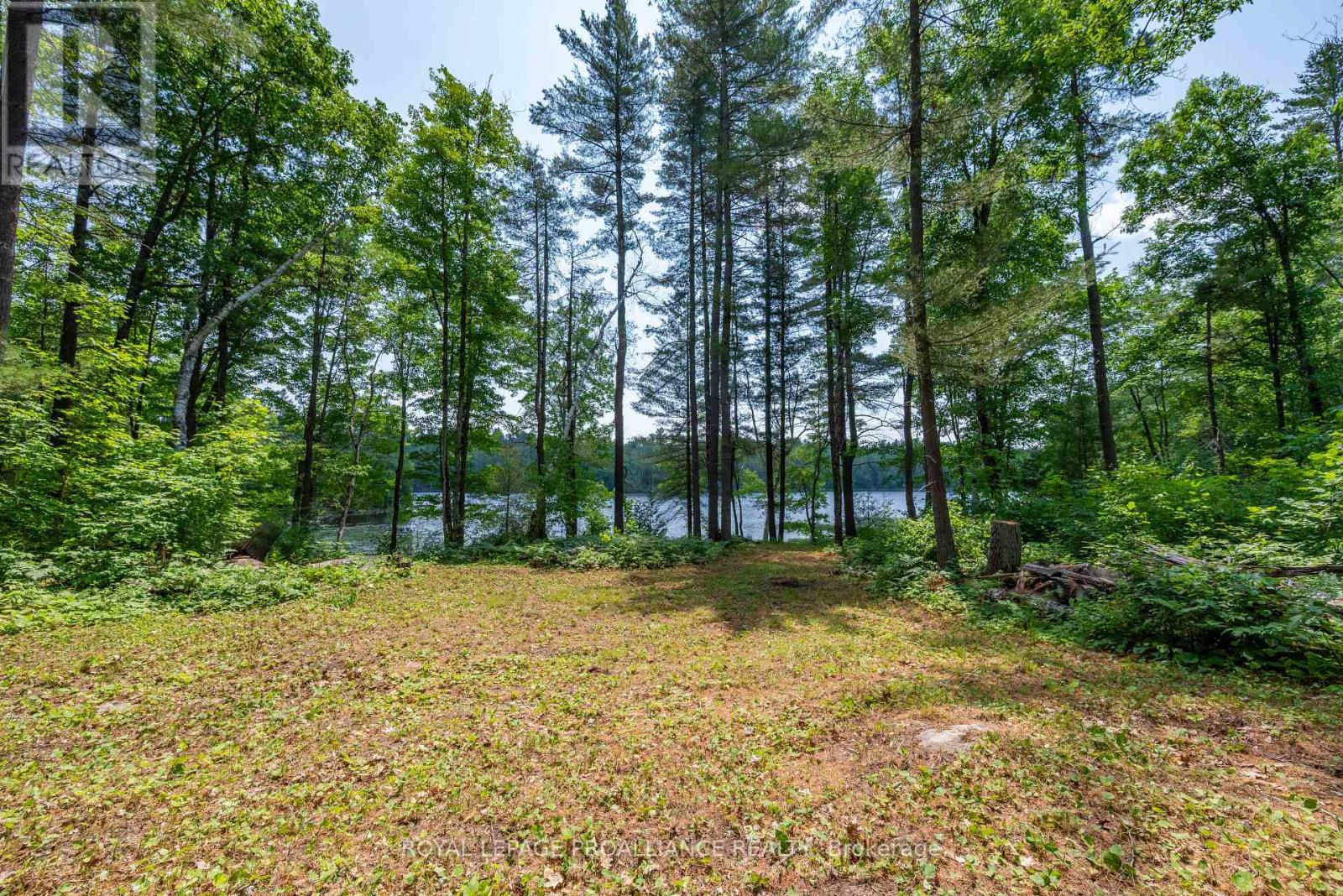 1180 MARSHALL LANE