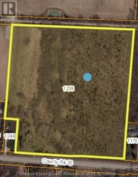 1238 COUNTY RD 20 Kingsville ON N9Y2E6