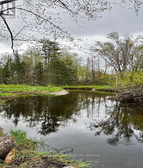 2348 NORTHEY'S BAY ROAD North Kawartha ON K0L2H0