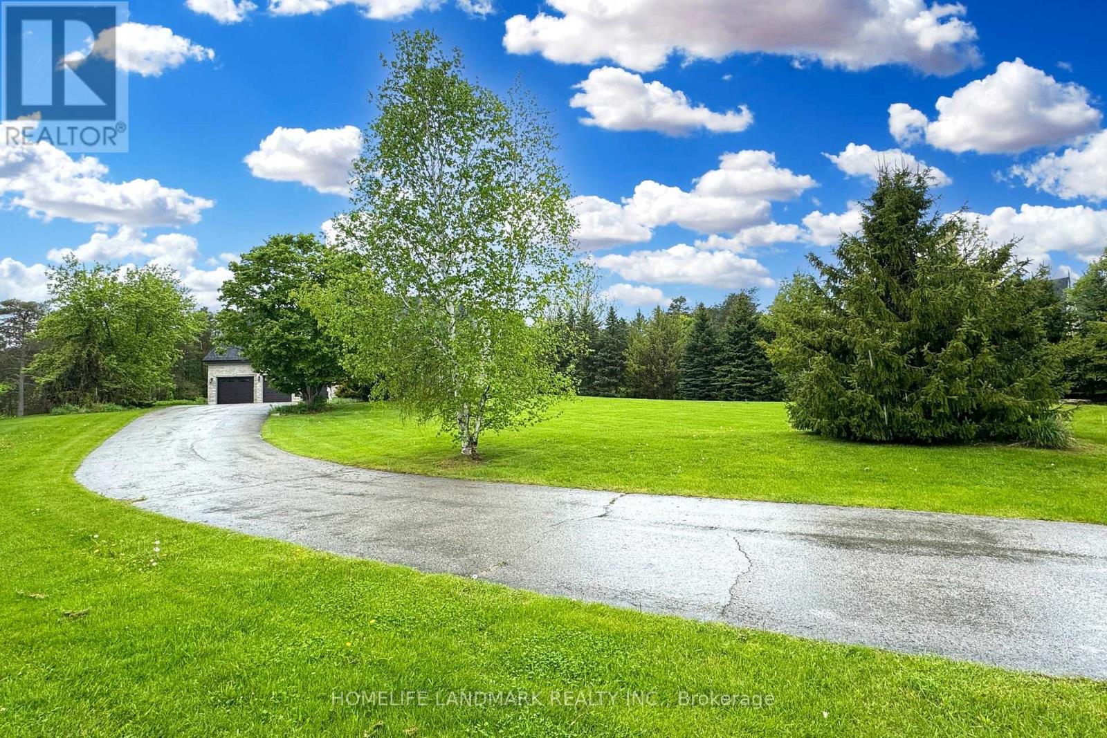 19 WOLF RUN COURT