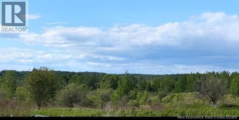 95.4 Acres Route 340