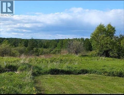 95.4 Acres Route 340 Canobie NB E2A5G7