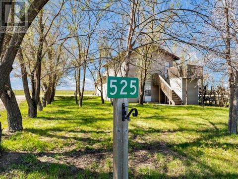 525 Illingworth Avenue Suffield AB T0J2N0