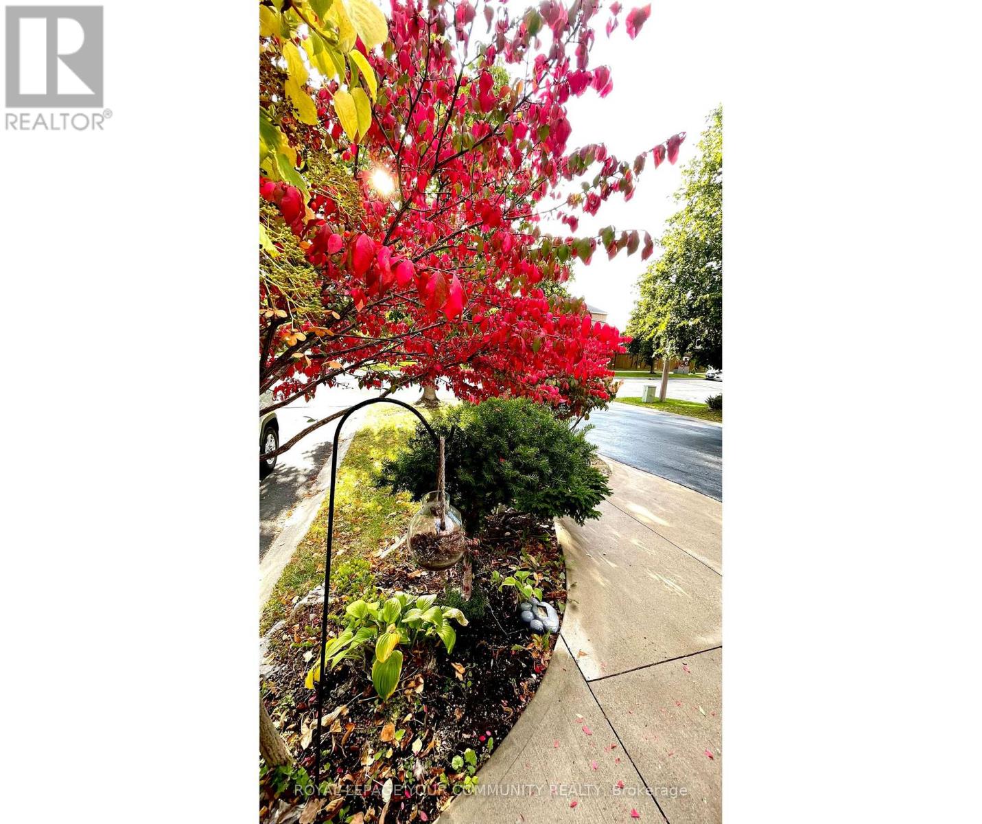 31 GIOTTO CRESCENT SW