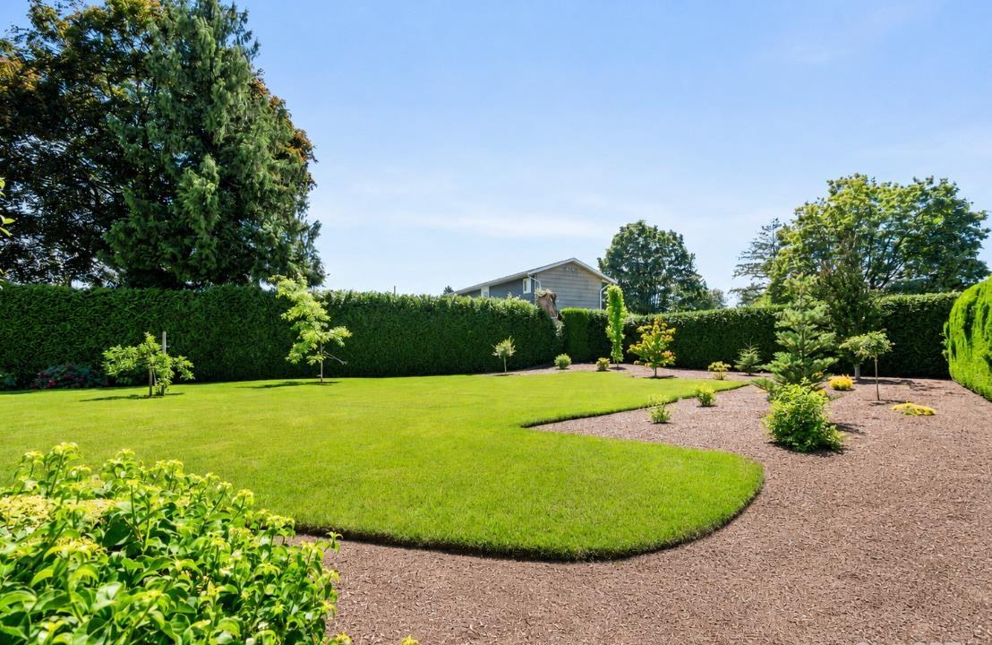 46122 GREENWOOD DRIVE|Sardis East Vedder