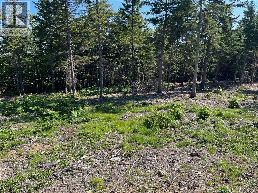 2021-1 Trailside Lane - Photo 3