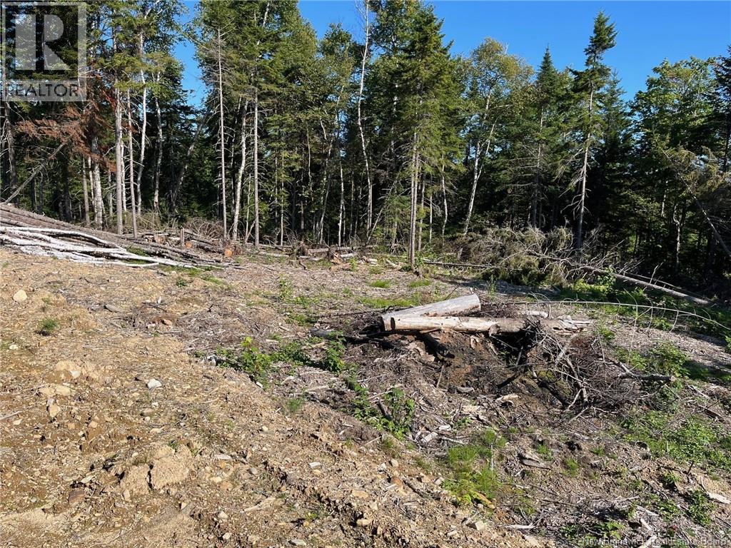 2021-1 Trailside Lane - Photo 2