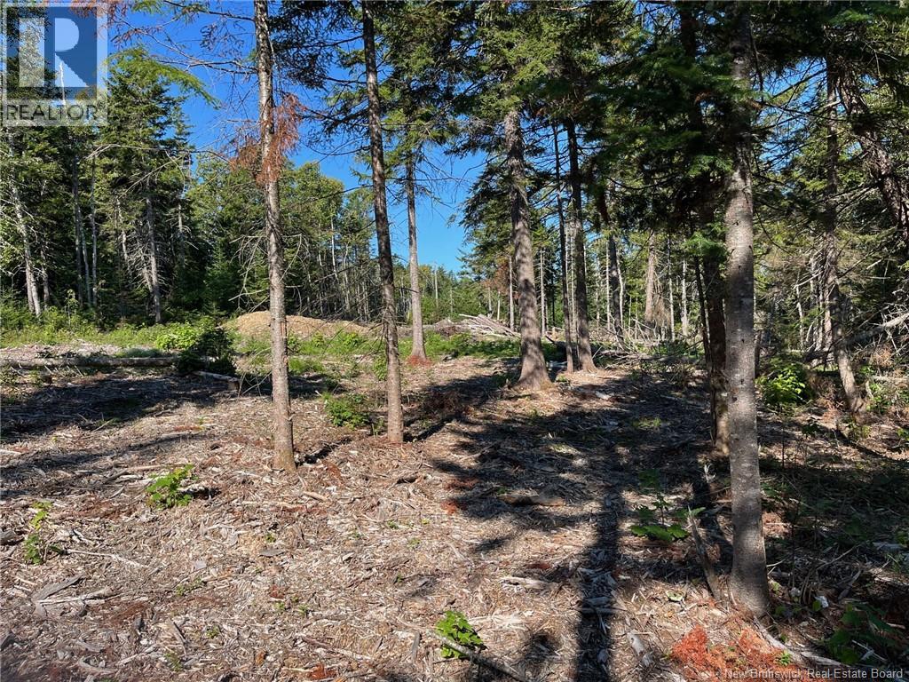 2021-1 Trailside Lane - Photo 4