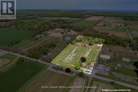 2965 COUNTY ROAD 8 Prince Edward County (North Marysburg Ward) ON K0K2T0