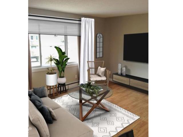 #306 10415 93 ST NW