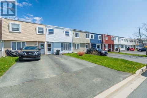 18 Chapman Crescent St.John's NF A1G1G8