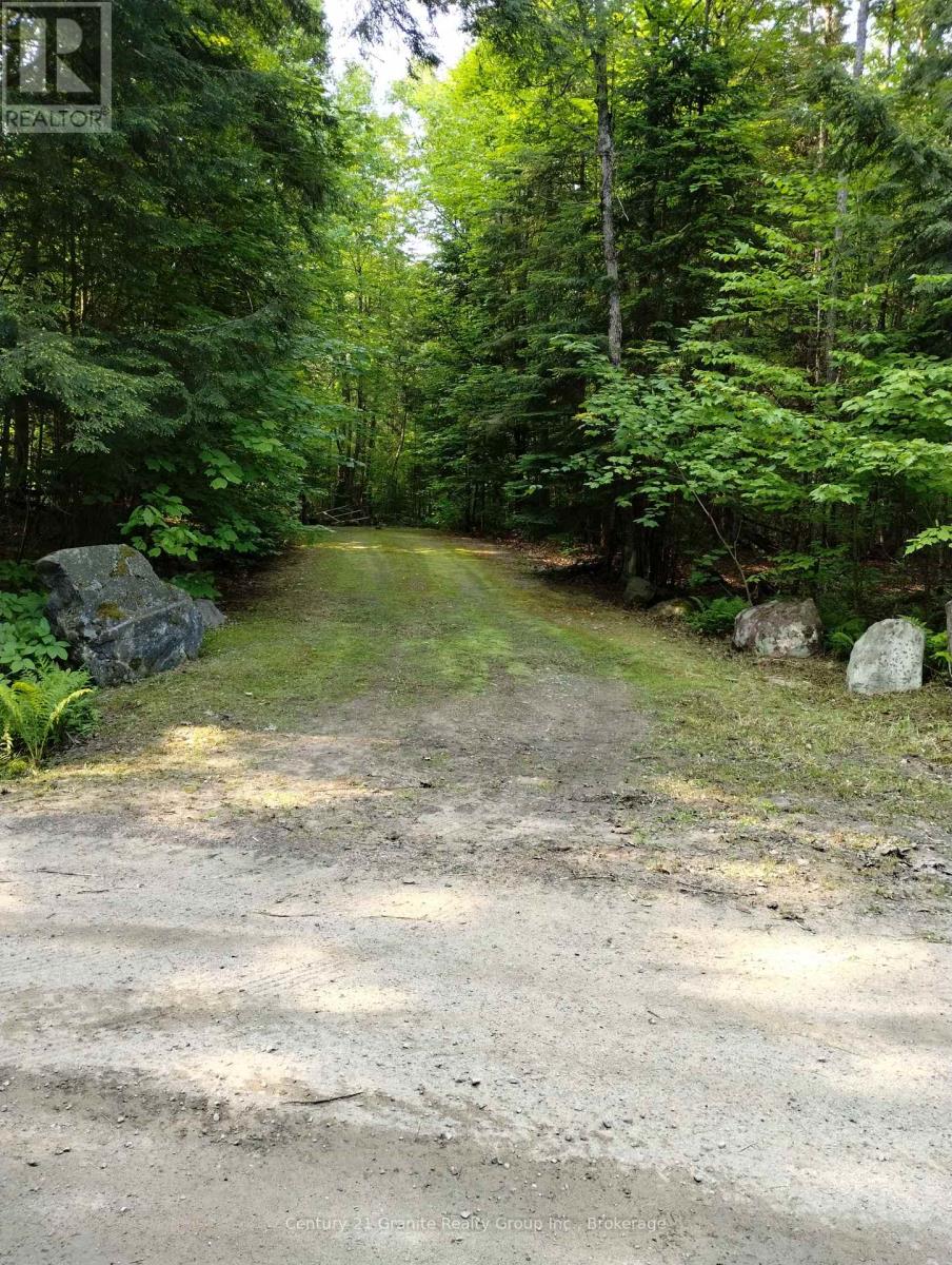 LOT 10 LOON LAKE ROAD S