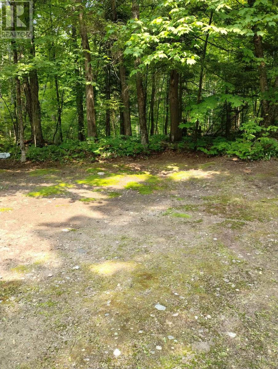 LOT 10 LOON LAKE ROAD S