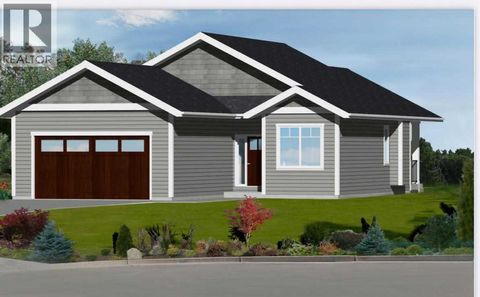 25 Houlden Place Cayley AB T0L0P0