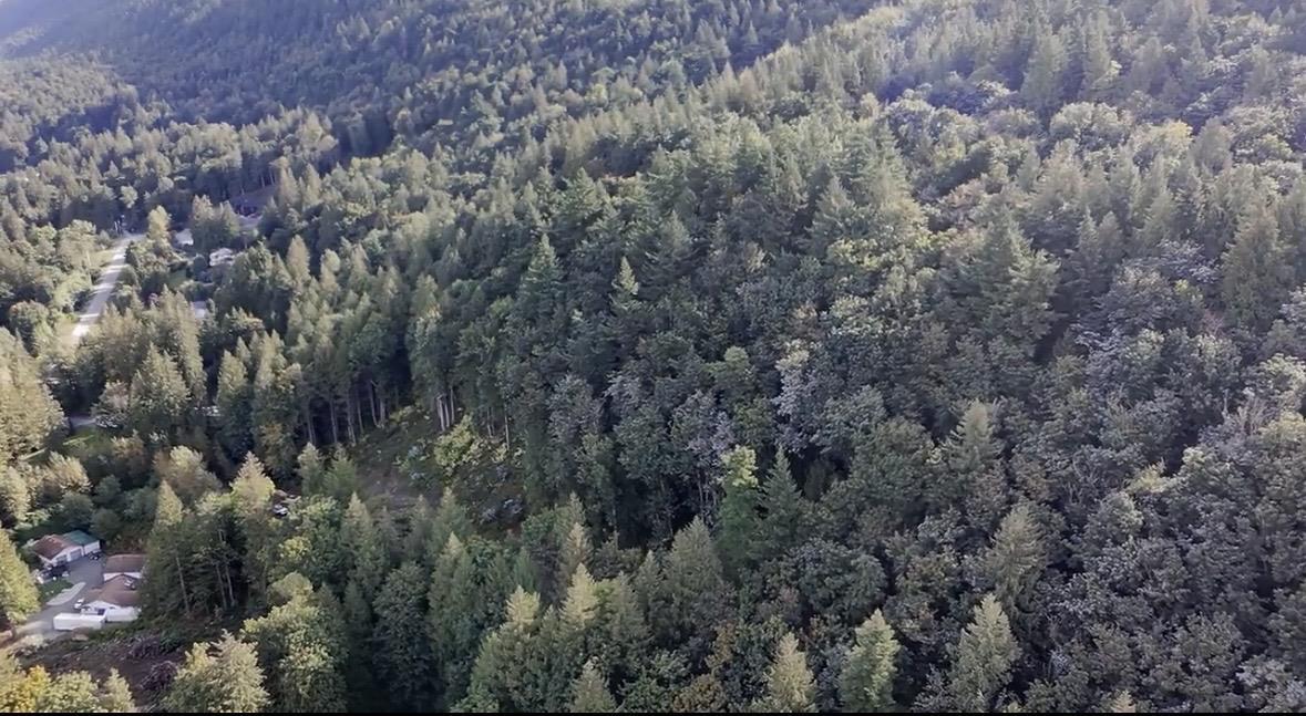 41768 BOWMAN ROAD|Vedder Mountain