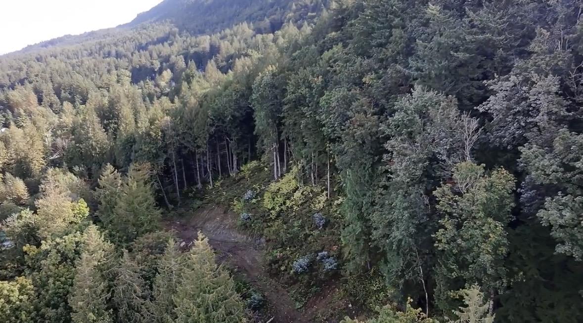 41768 BOWMAN ROAD|Vedder Mountain