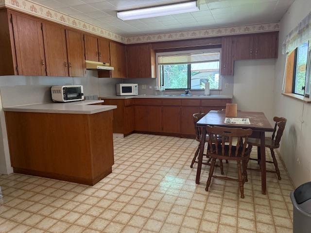 B10 65443 EMORY CREEK ROAD|Yale "“ Dogwood Valley