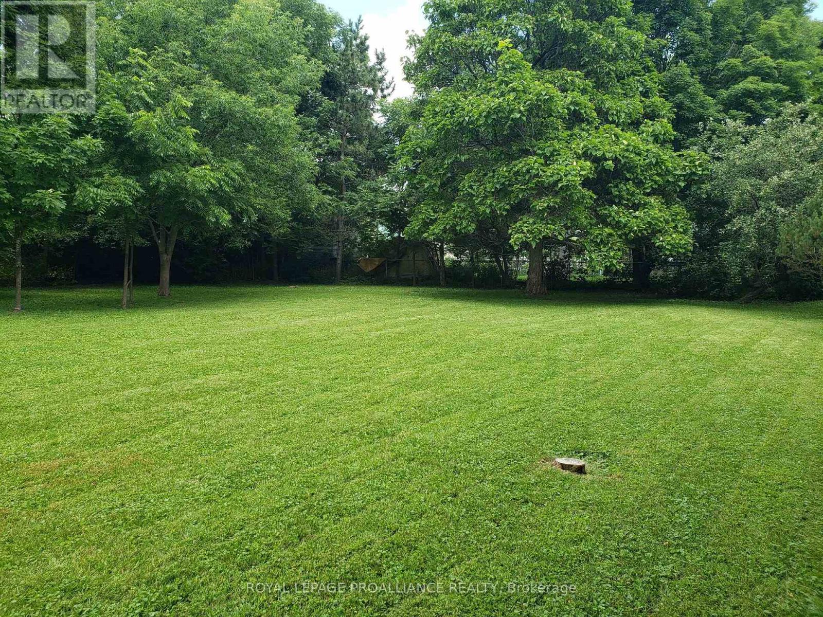 20 GRAND TRUNK AVENUE