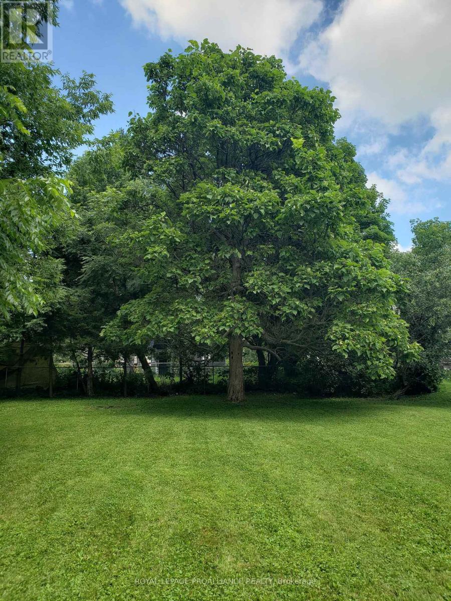 20 GRAND TRUNK AVENUE